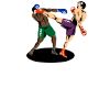 Kick Boxing