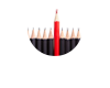 Managing the Manager