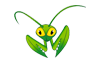 Learn Mantis