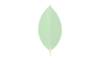 Learn MongoDB