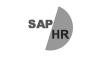 Learn SAP HR