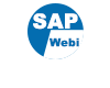 Learn SAP Webi
