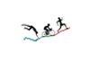 Triathlon