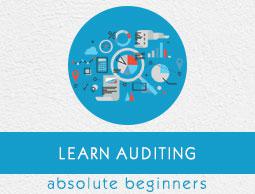 Auditing Tutorial