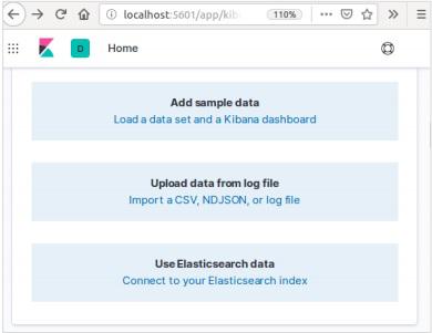 Kibana Home Page