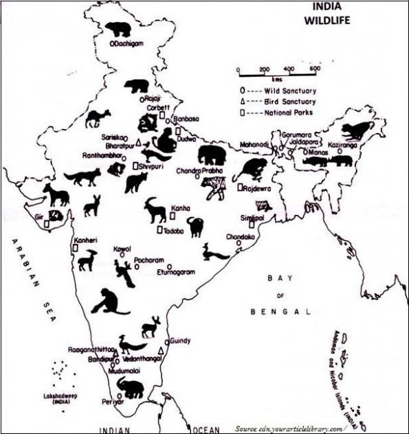 India WildLife