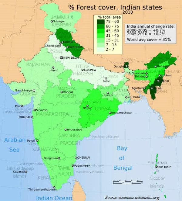Indian Forest area