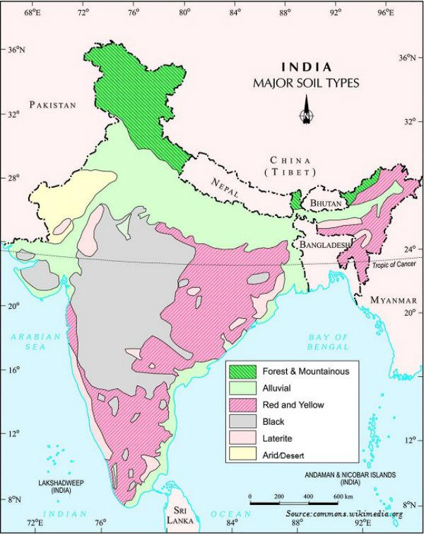 Indian Soil
