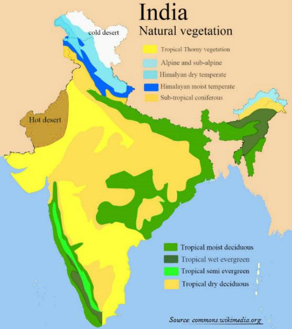 Natural Vegetation