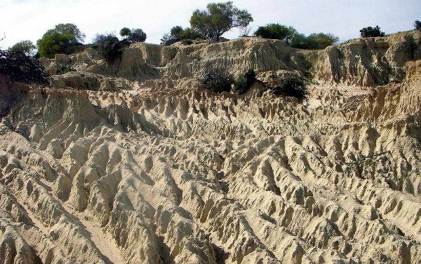 Soil Degradation