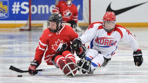 Sledge Hockey
