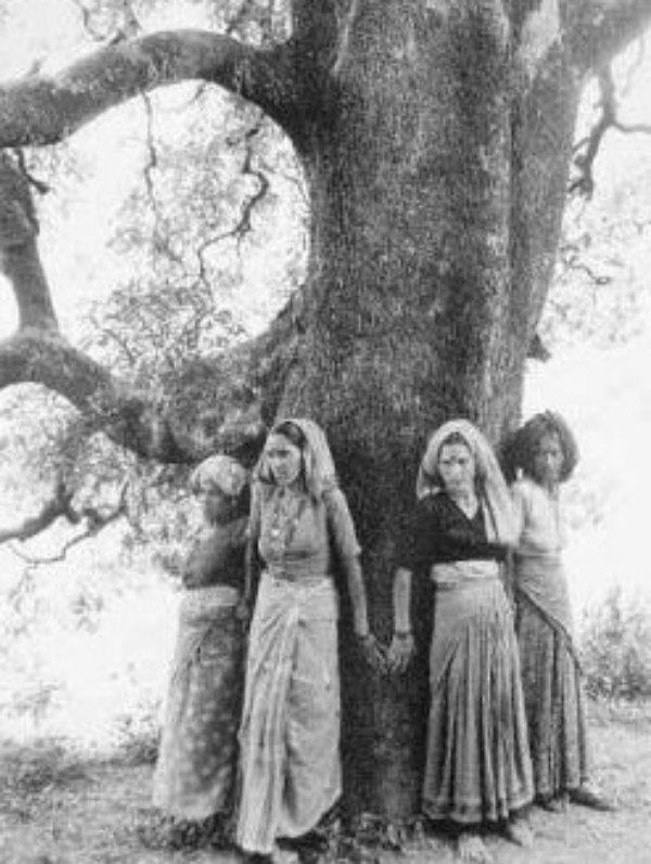 Chipko movement