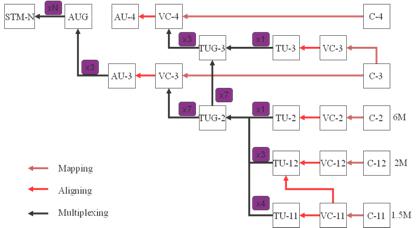 SDH Hierarchy