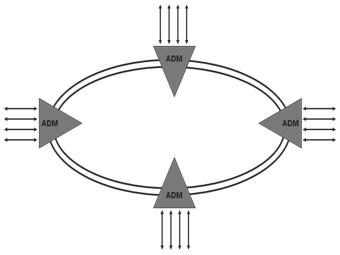 SDH Ring System