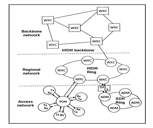 backbone network