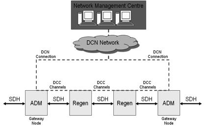 SDH Management