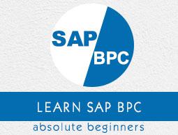 SAP BPC Tutorial