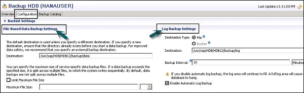 Log Backup