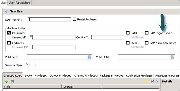 SAP Logon