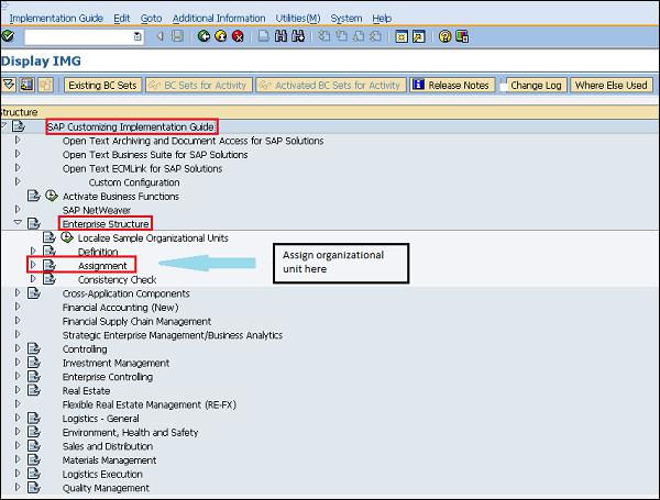 SAP Assignment