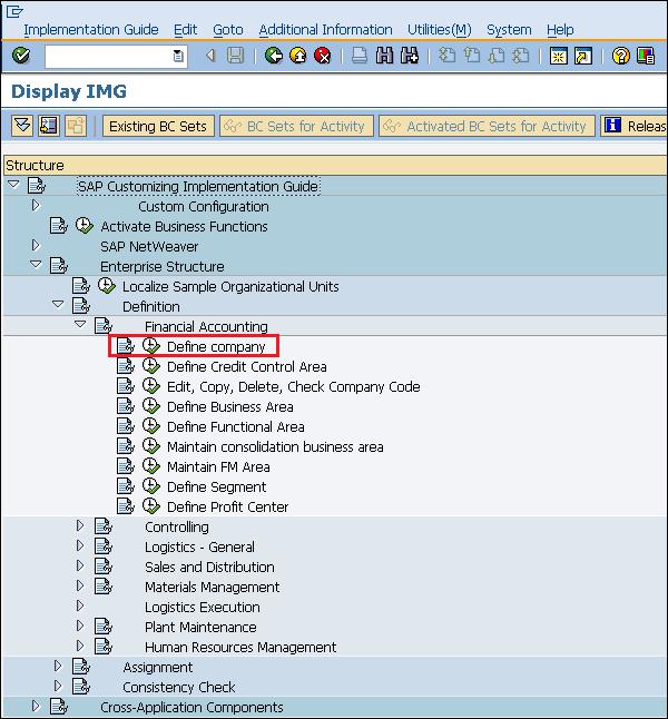 SAP Define Company