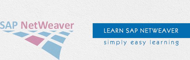 SAP NetWeaver