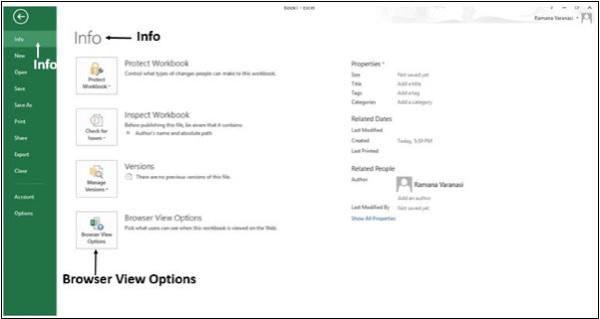 Info Browser View Options