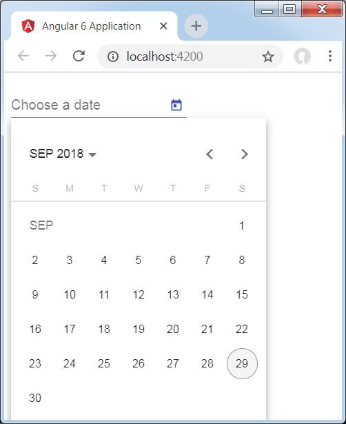 Datepicker Is Displayed