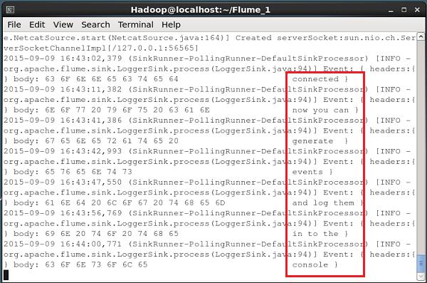 NetCat console