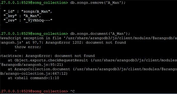 Exception Error Output Screen