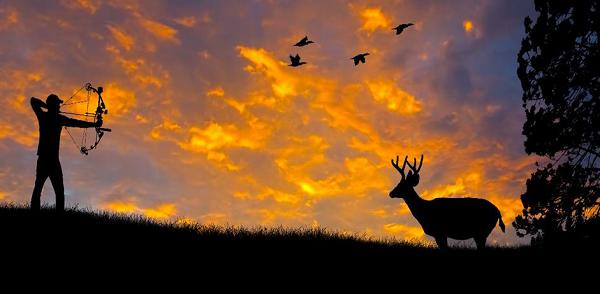 Bow Hunting