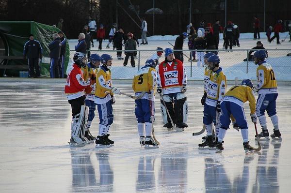 Bandy Environment