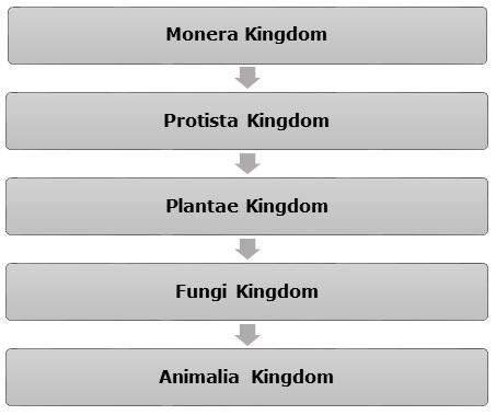 Kingdoms