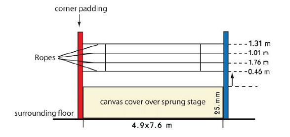 Dimensions Ring