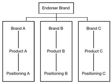 Endorser Brand Architecture