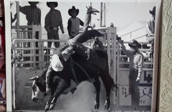 Bull Fighting