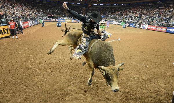 Bull Riding