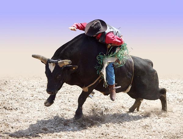 Rodeo Sports