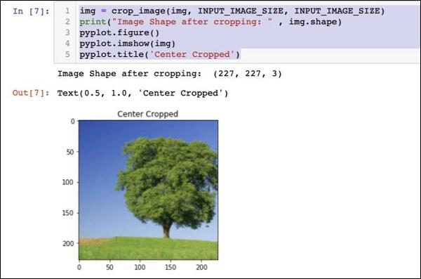 Cropping Image