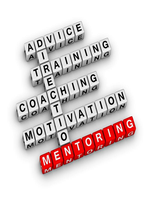 Mentoring Process