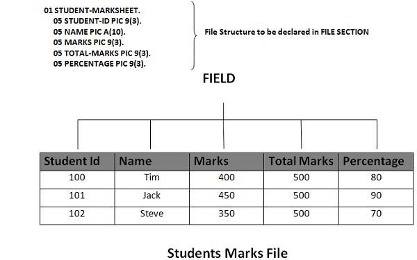 Program Structure