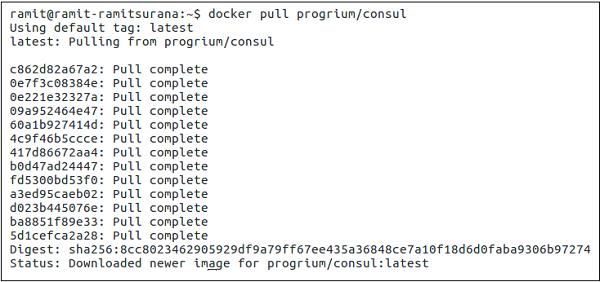 Pull Progrium