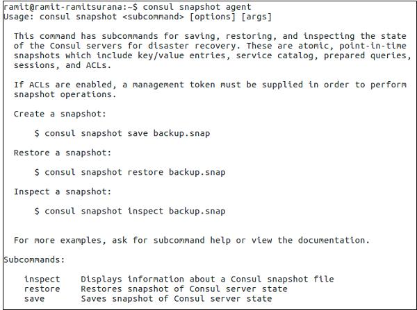 Snapshot Agent