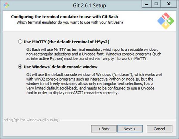 Default Console Window