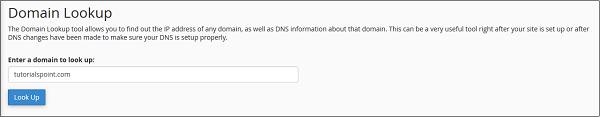 Domain lookup
