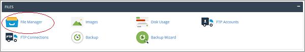 Files Section