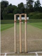 Stumps