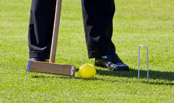 Croquet Game