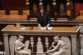 French Lawmakers