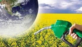 World BioFuel Day